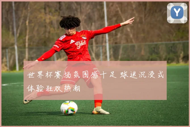 世界杯赛场氛围感十足 球迷沉浸式体验狂欢热潮
