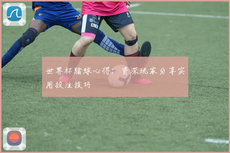 世界杯赌球心得:资深玩家分享实用投注技巧