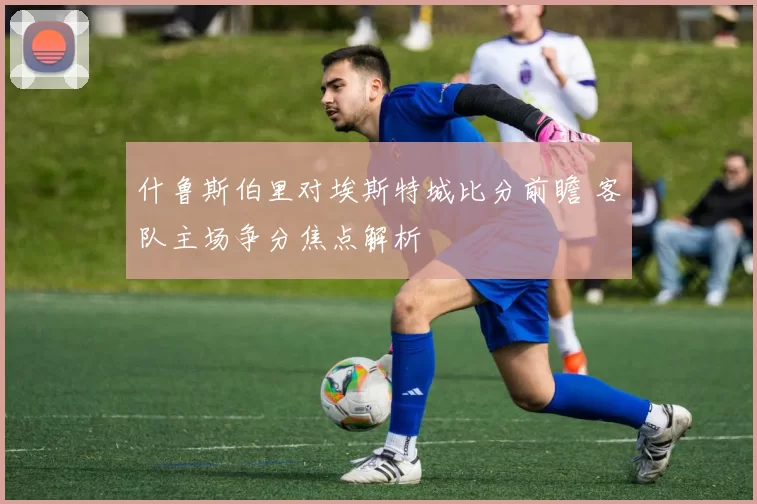 什鲁斯伯里对埃斯特城比分前瞻 客队主场争分焦点解析