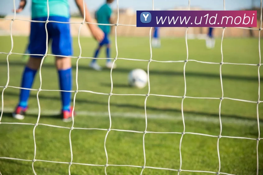 多媒体互动体验